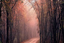 PG：[亚冠]上海申花主场战胜川崎前锋.