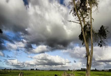 PG:希尔德21分锡安全场20中5 勇士背靠背双杀鹈鹕.